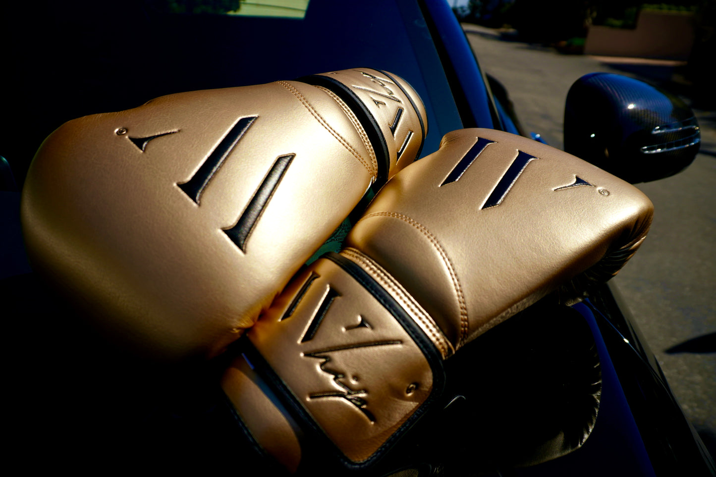 Extremely Limited - Golden Gloves