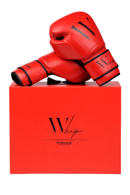 Diablo Boxing Gloves